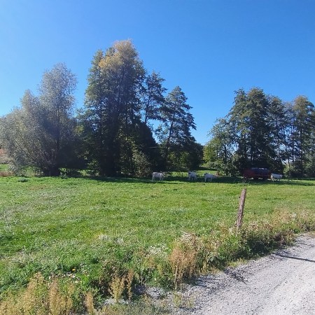 Eglingen, Sundgau 68
