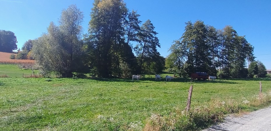 Eglingen, Sundgau 68